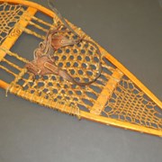 Cover image of  Snowshoes
